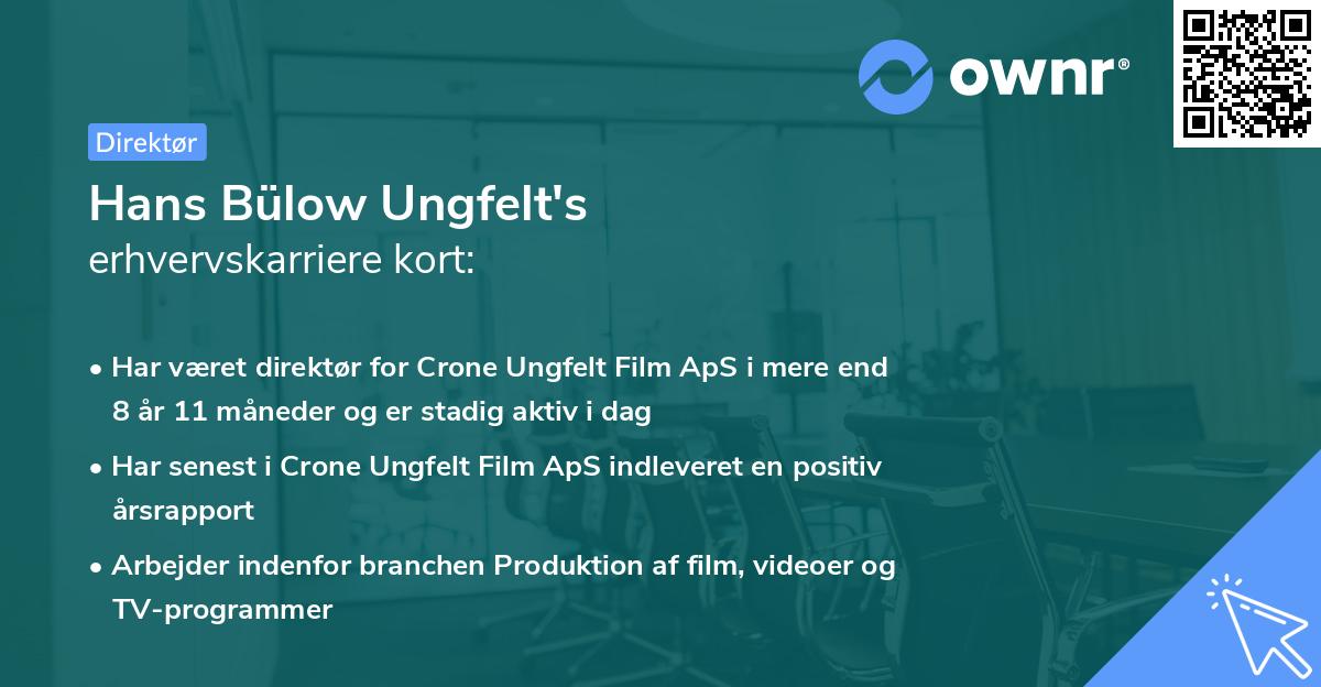 Hans Bülow Ungfelt's erhvervskarriere kort