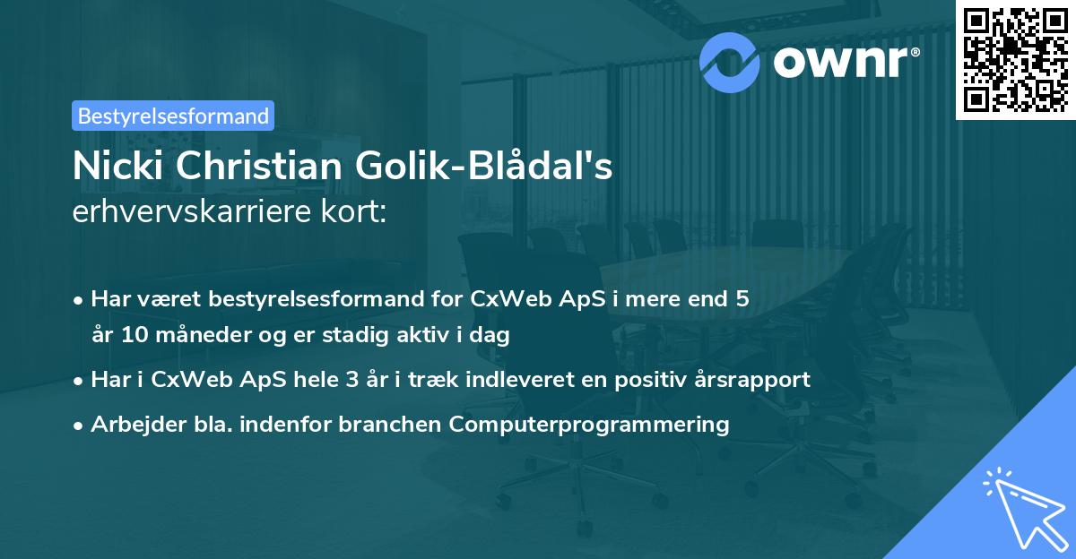 Nicki Christian Golik-Blådal's erhvervskarriere kort