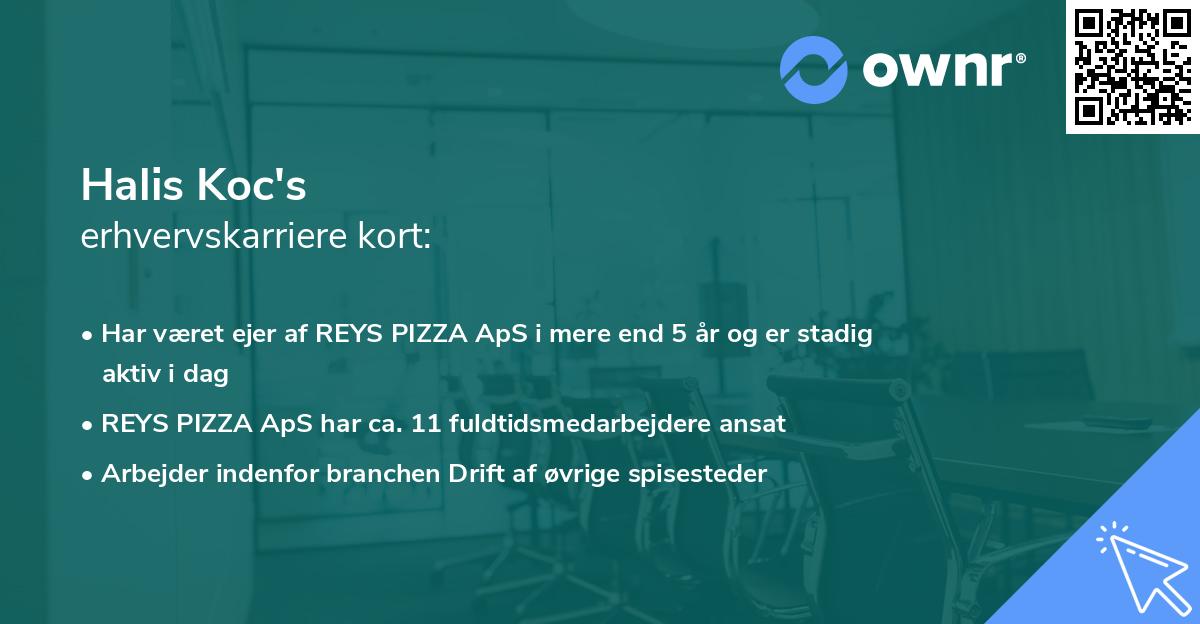 Halis Koc's erhvervskarriere kort