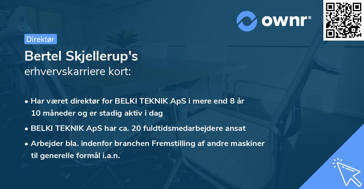 Bertel Skjellerup's erhvervskarriere kort
