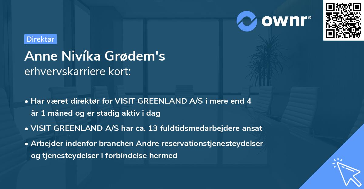 Anne Nivíka Grødem's erhvervskarriere kort