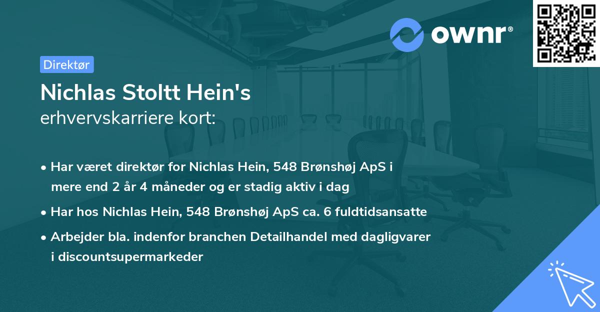 Nichlas Stoltt Hein's erhvervskarriere kort