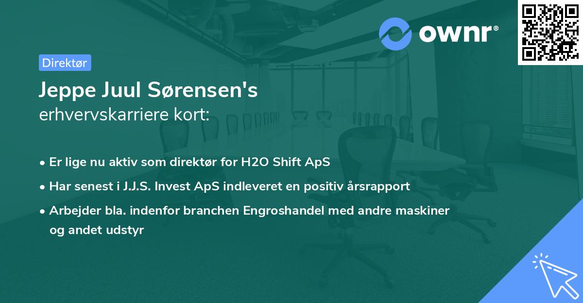 Jeppe Juul Sørensen's erhvervskarriere kort