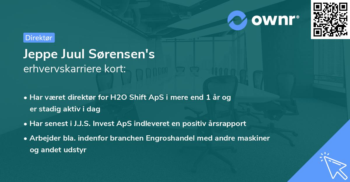 Jeppe Juul Sørensen's erhvervskarriere kort