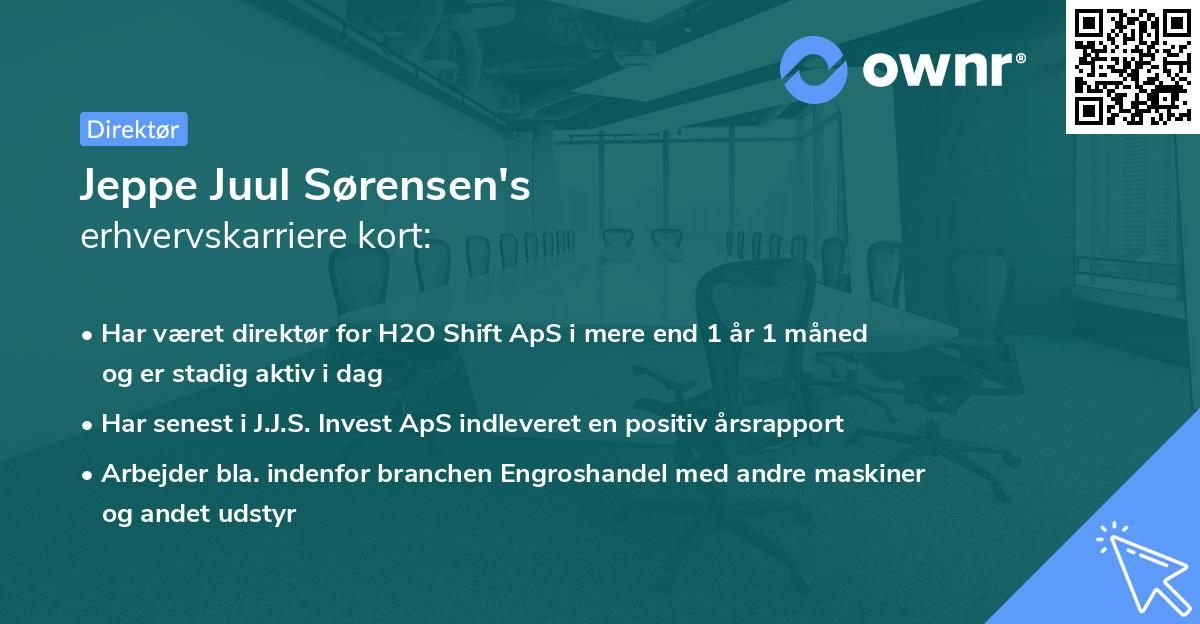 Jeppe Juul Sørensen's erhvervskarriere kort
