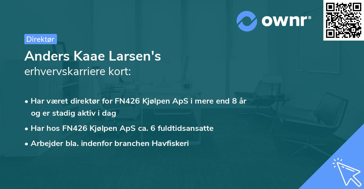 Anders Kaae Larsen's erhvervskarriere kort