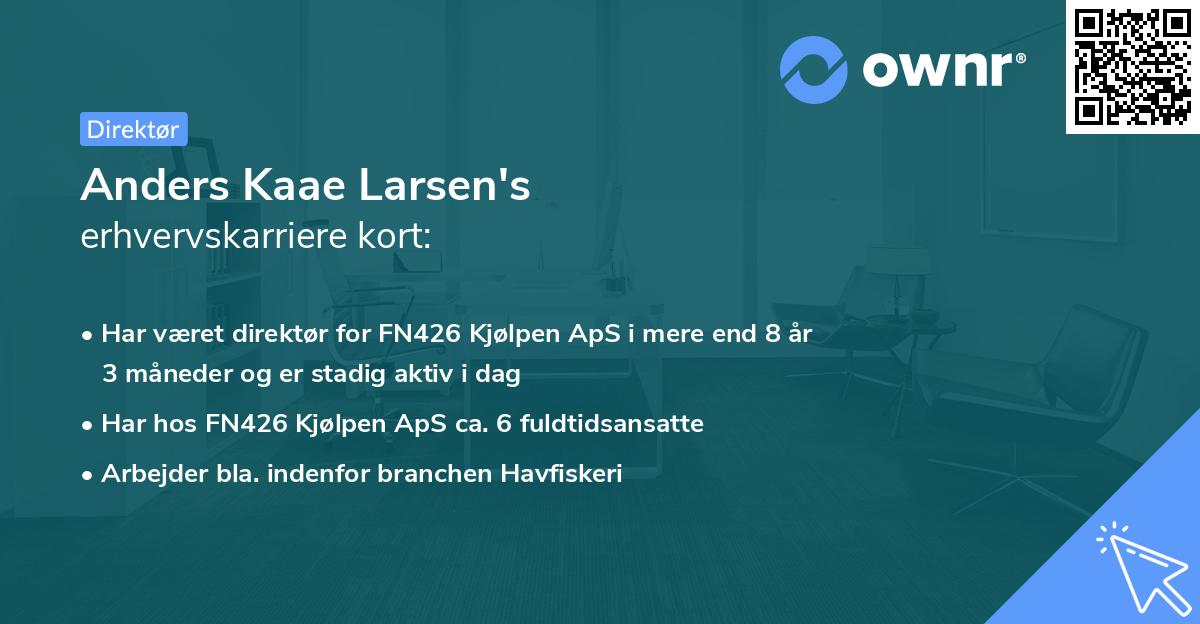 Anders Kaae Larsen's erhvervskarriere kort
