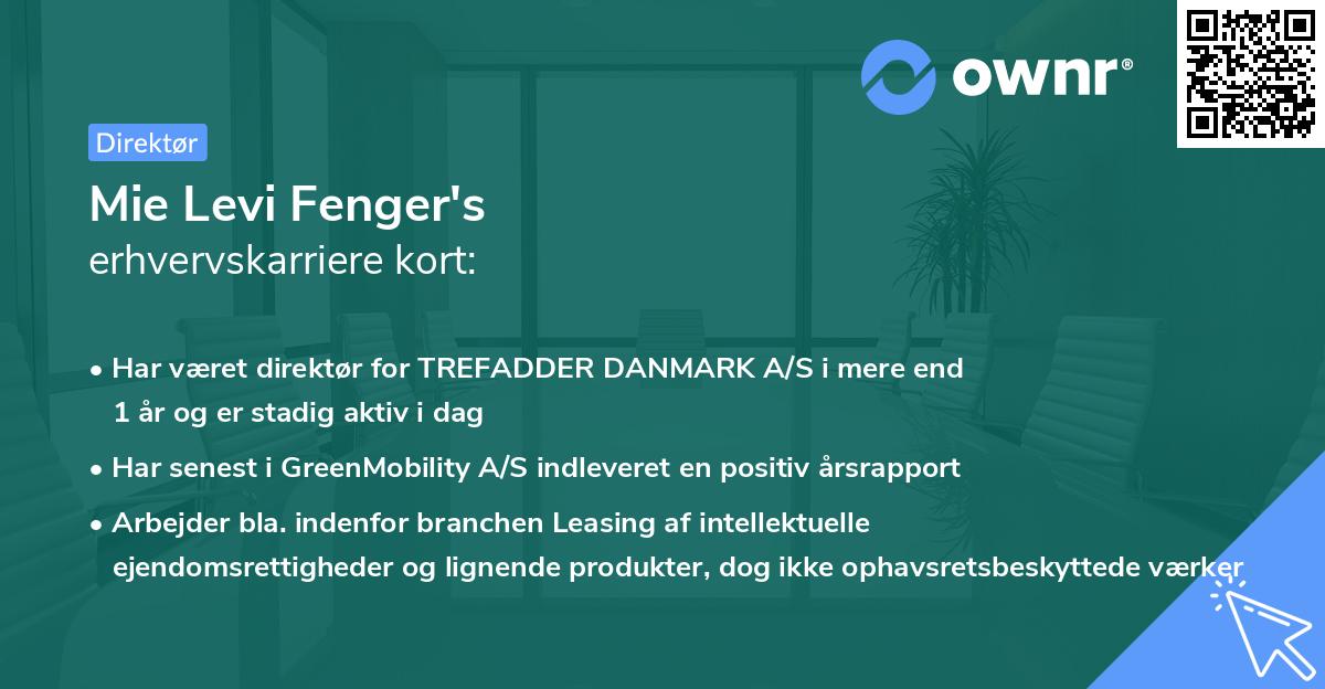 Mie Levi Fenger's erhvervskarriere kort