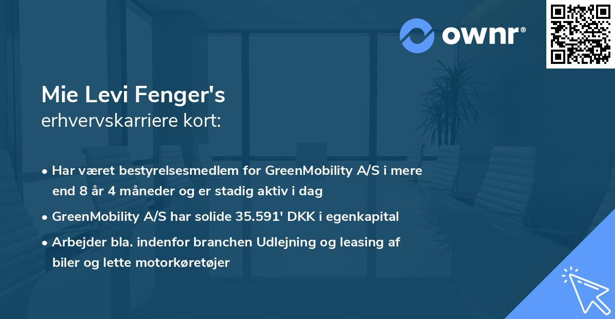 Mie Levi Fenger's erhvervskarriere kort