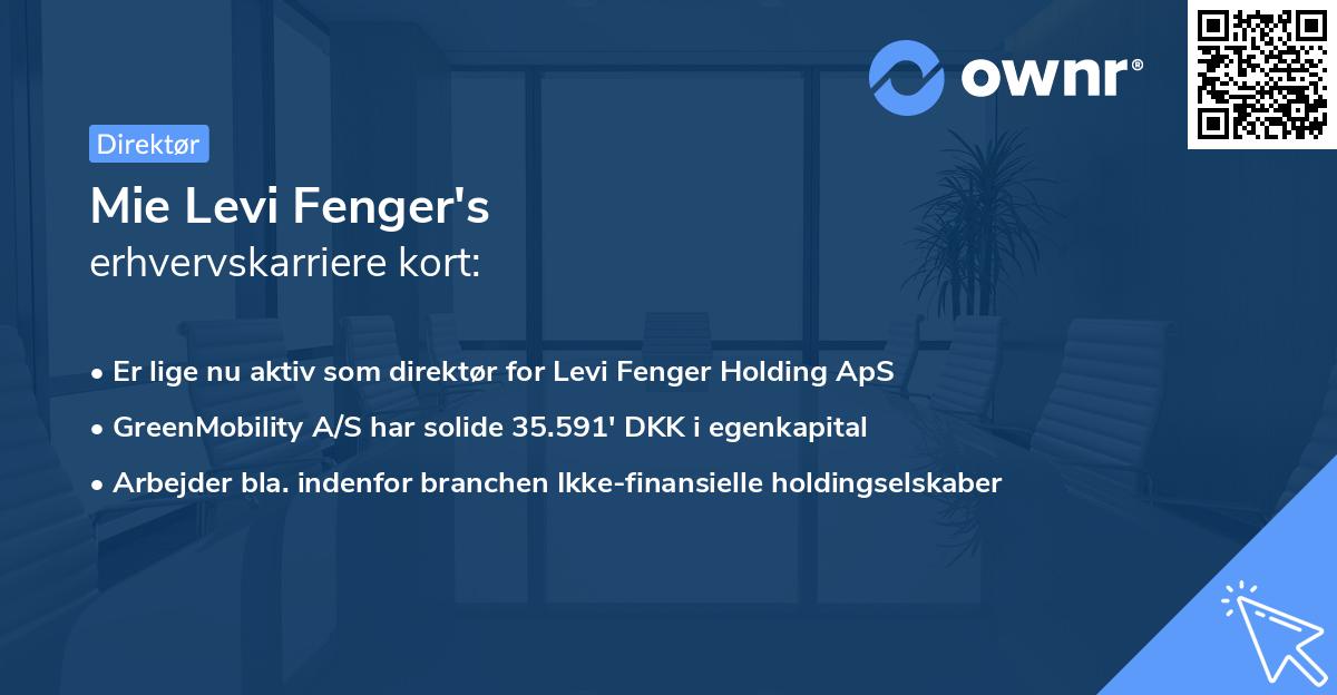 Mie Levi Fenger's erhvervskarriere kort