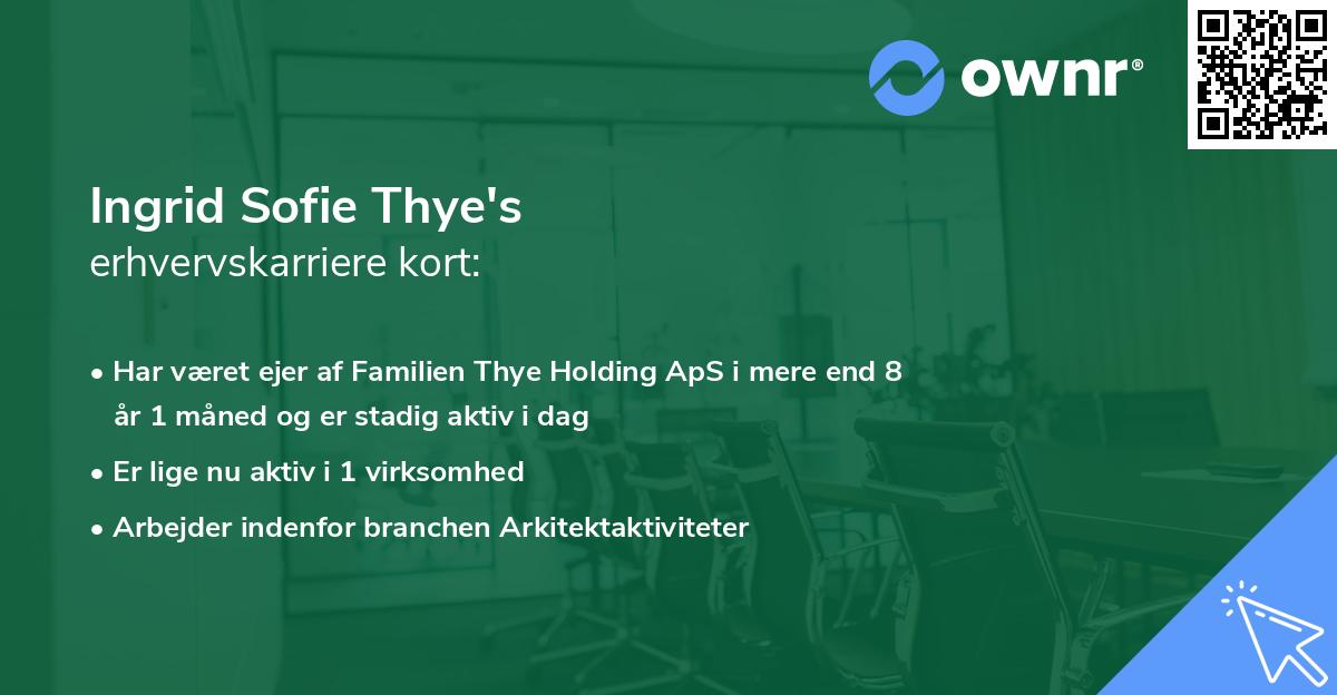 Ingrid Sofie Thye's erhvervskarriere kort