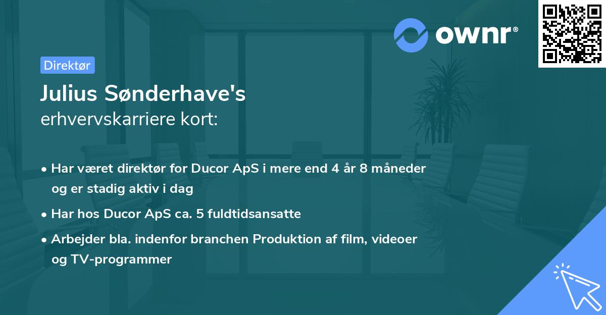 Julius Sønderhave's erhvervskarriere kort