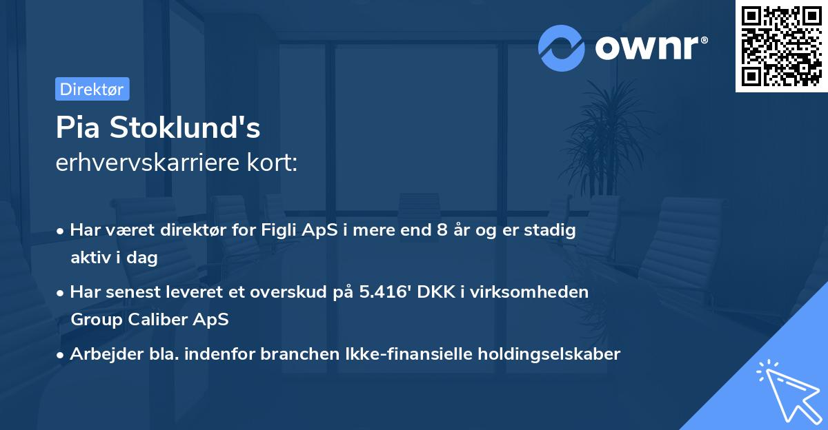 Pia Stoklund's erhvervskarriere kort