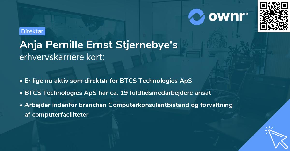 Anja Pernille Ernst Stjernebye's erhvervskarriere kort
