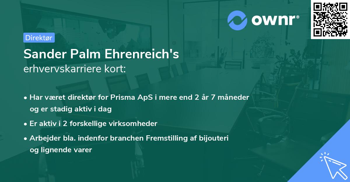 Sander Palm Ehrenreich's erhvervskarriere kort