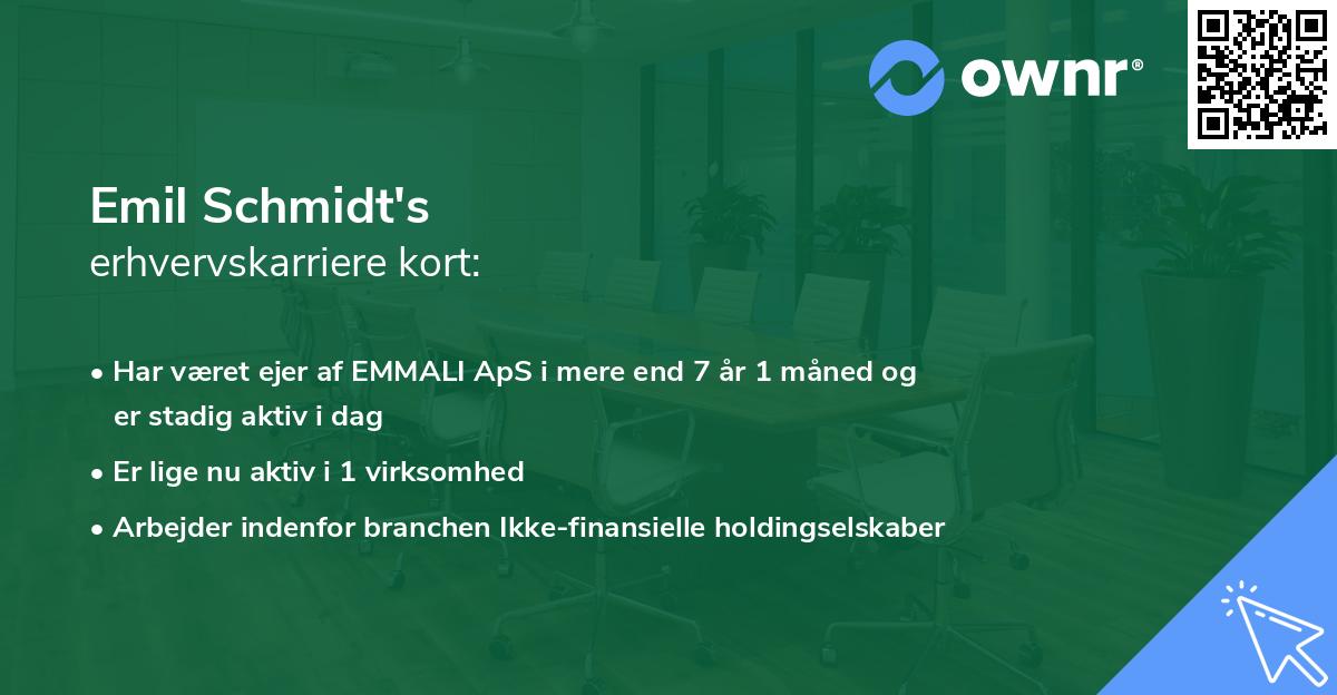 Emil Schmidt's erhvervskarriere kort