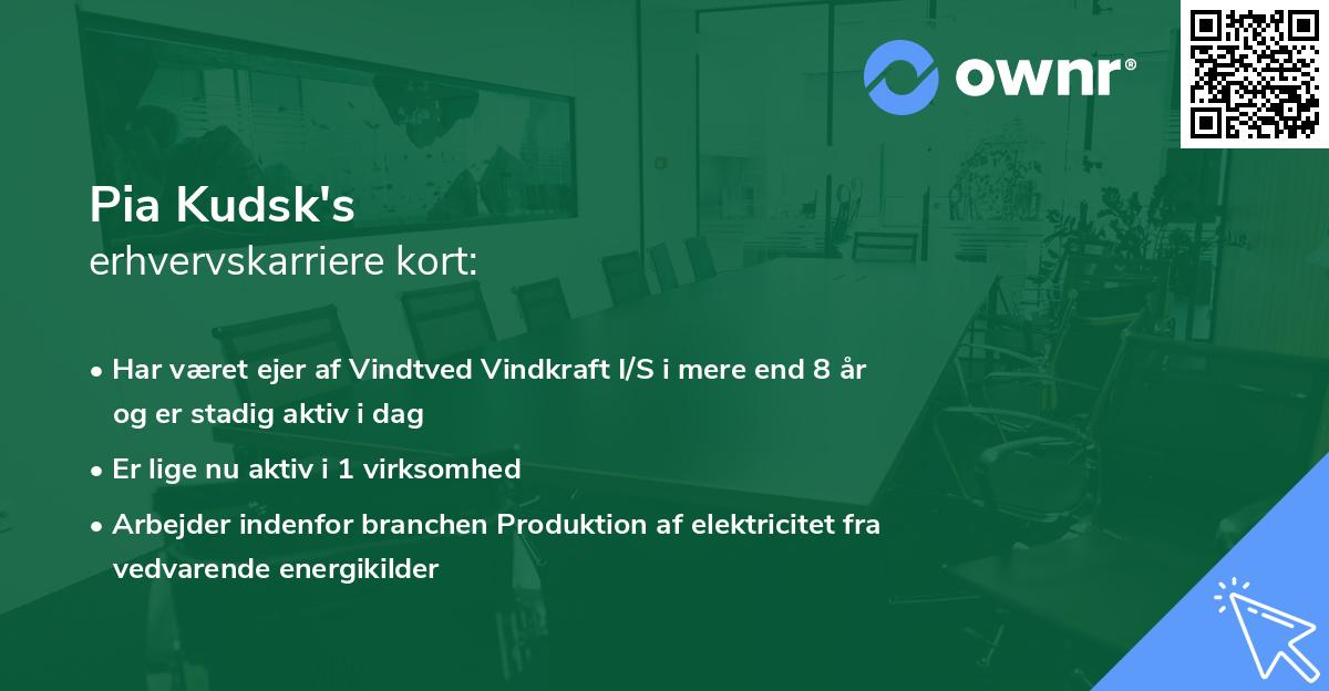 Pia Kudsk's erhvervskarriere kort