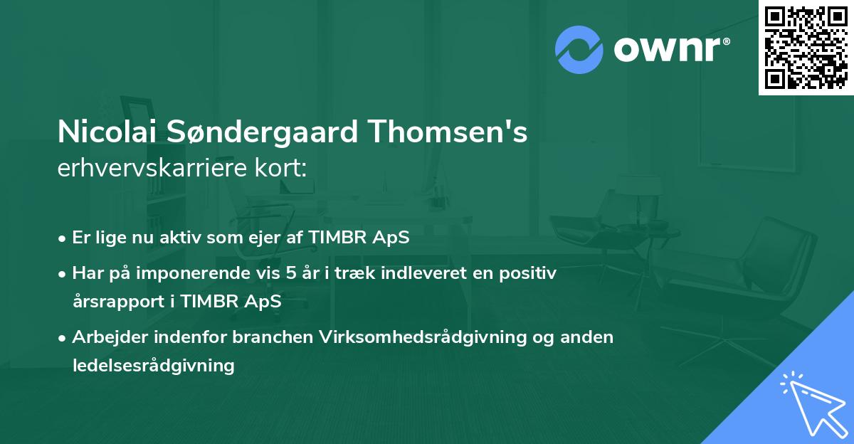 Nicolai Søndergaard Thomsen's erhvervskarriere kort