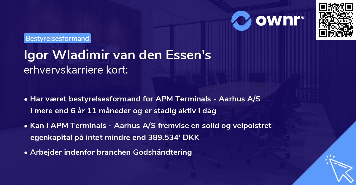 Igor Wladimir van den Essen's erhvervskarriere kort