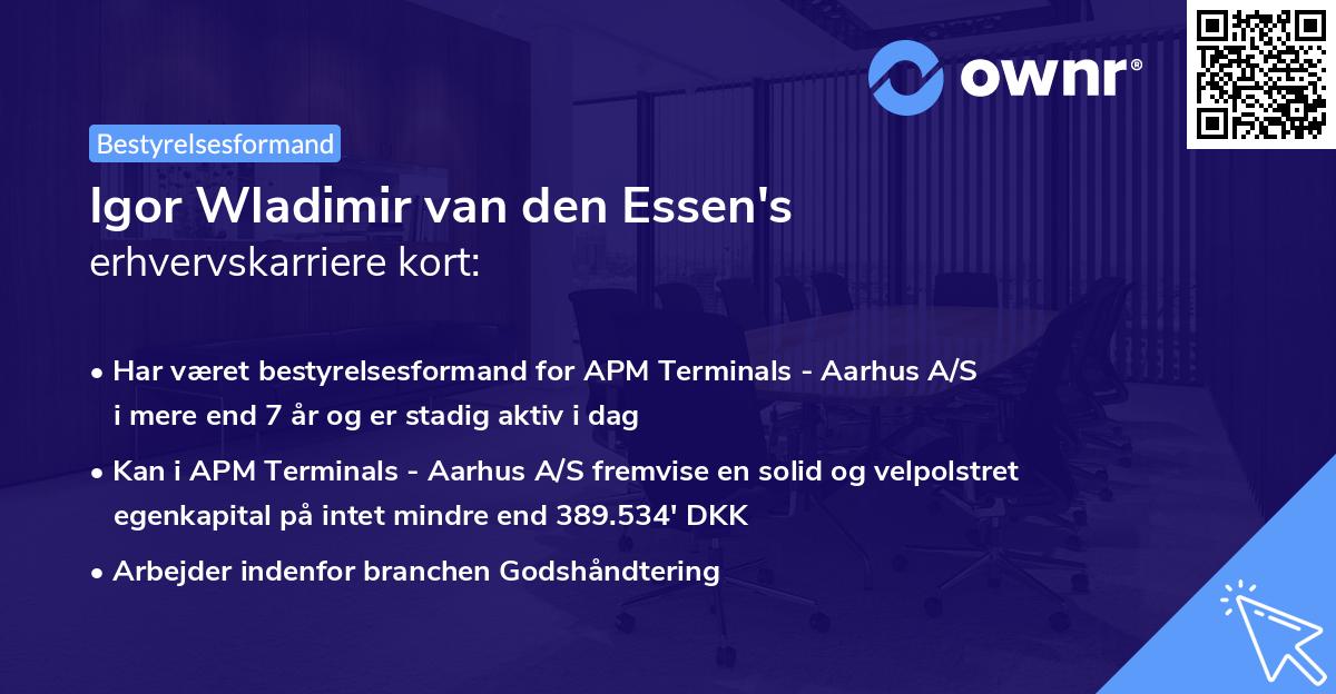 Igor Wladimir van den Essen's erhvervskarriere kort