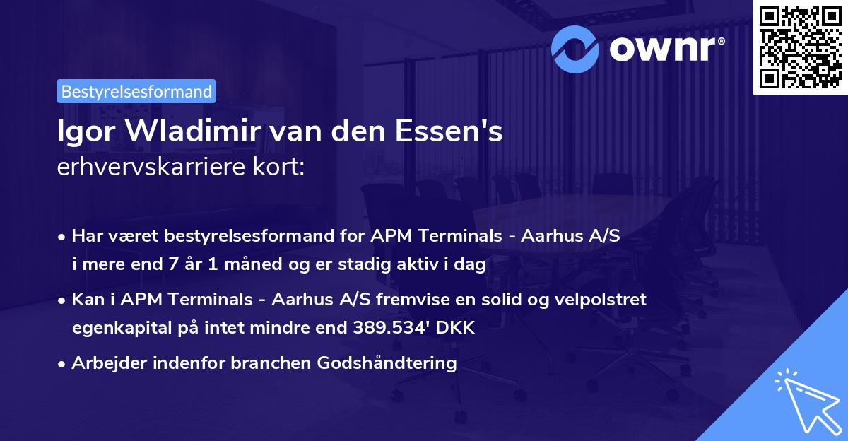 Igor Wladimir van den Essen's erhvervskarriere kort