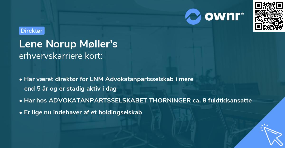 Lene Norup Møller's erhvervskarriere kort