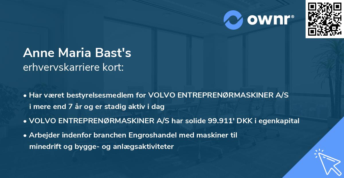 Anne Maria Bast's erhvervskarriere kort