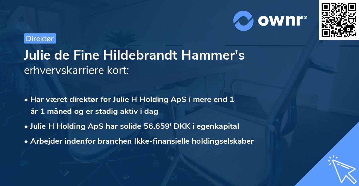 Julie de Fine Hildebrandt Hammer's erhvervskarriere kort