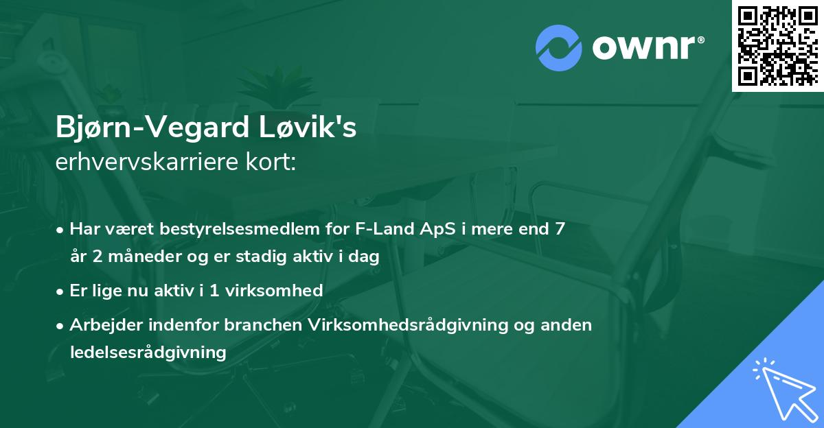 Bjørn-Vegard Løvik's erhvervskarriere kort