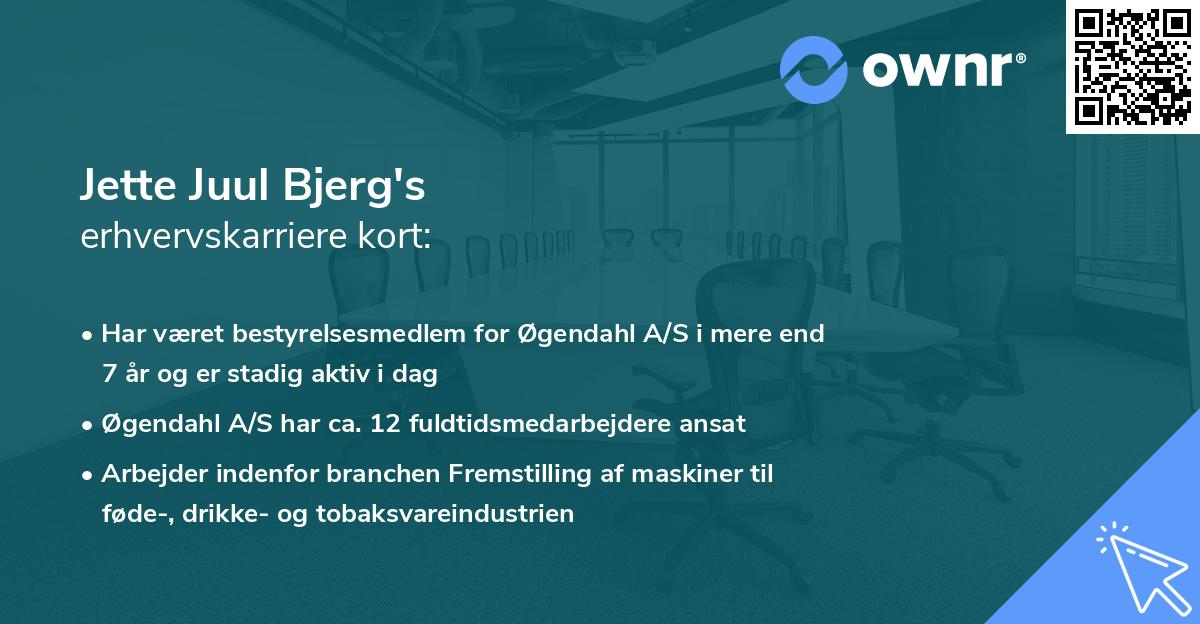 Jette Juul Bjerg's erhvervskarriere kort