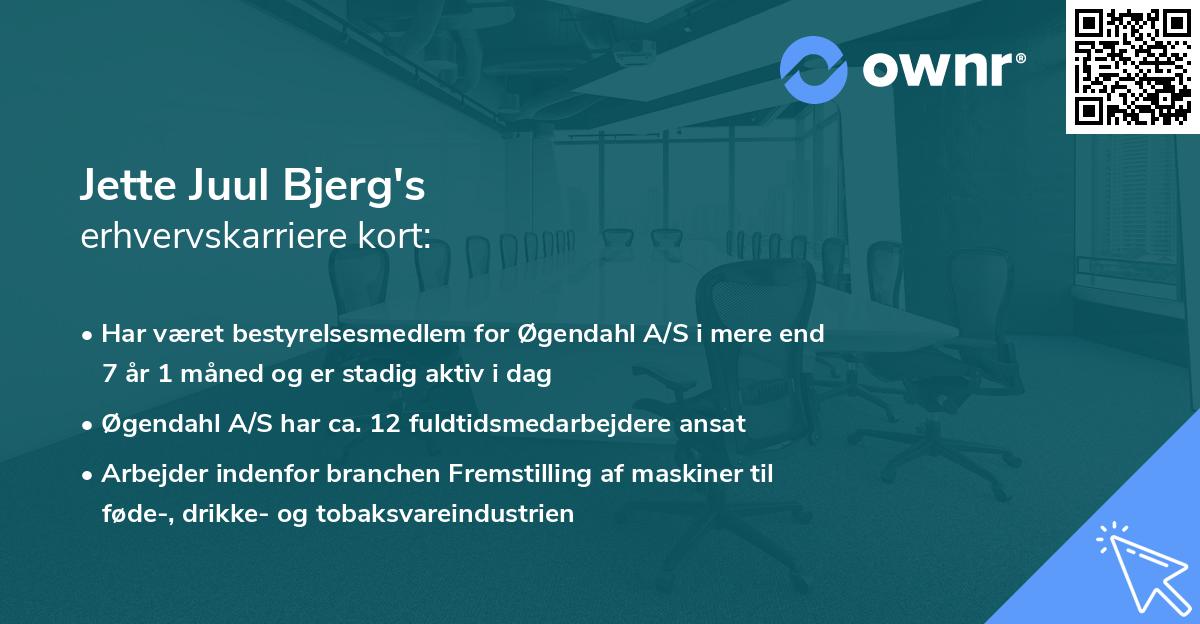 Jette Juul Bjerg's erhvervskarriere kort