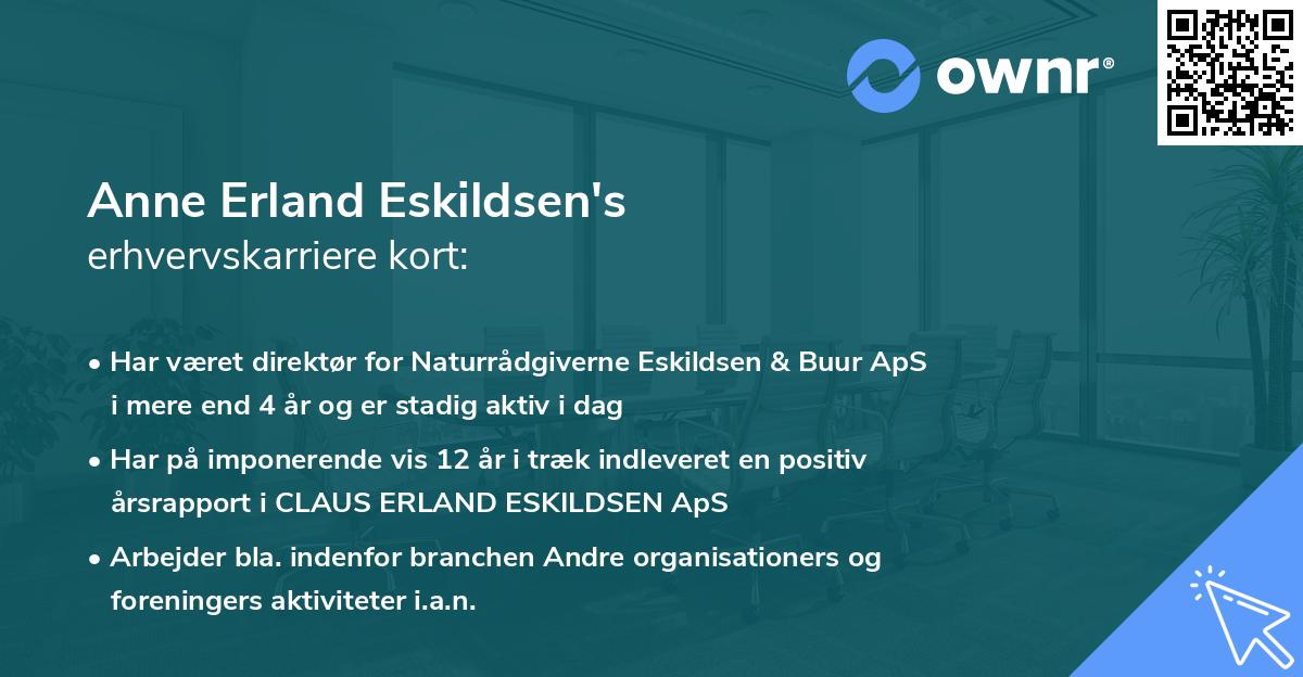Anne Erland Eskildsen's erhvervskarriere kort