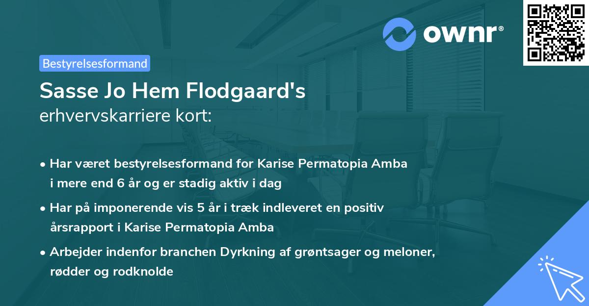 Sasse Jo Hem Flodgaard's erhvervskarriere kort