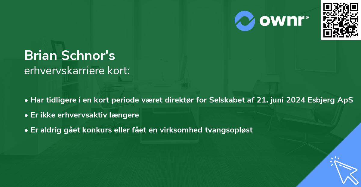 Brian Schnor's erhvervskarriere kort