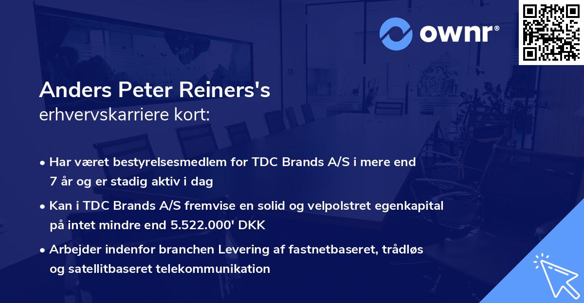 Anders Peter Reiners's erhvervskarriere kort