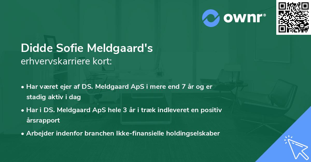 Didde Sofie Meldgaard's erhvervskarriere kort