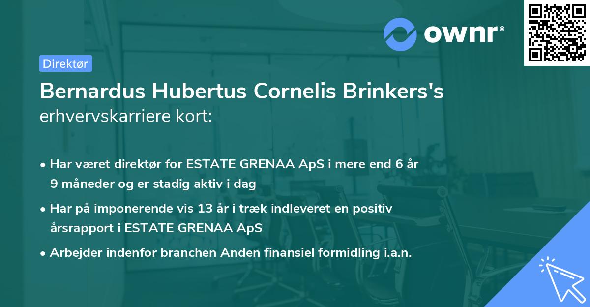 Bernardus Hubertus Cornelis Brinkers's erhvervskarriere kort