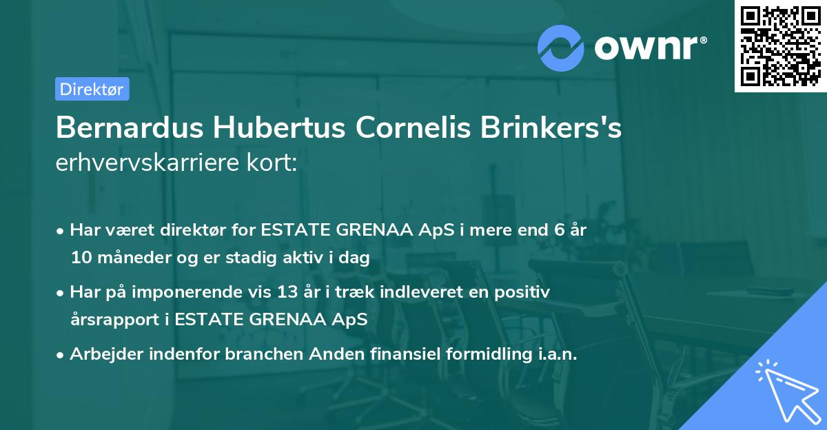 Bernardus Hubertus Cornelis Brinkers's erhvervskarriere kort