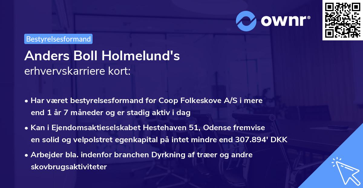 Anders Boll Holmelund's erhvervskarriere kort