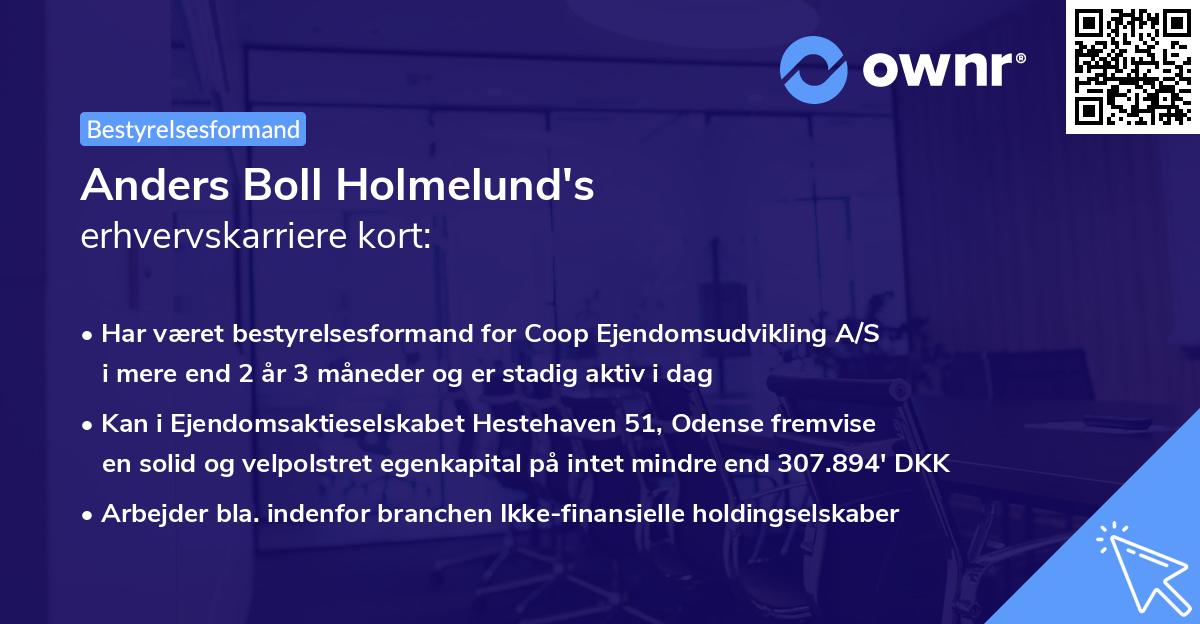 Anders Boll Holmelund's erhvervskarriere kort
