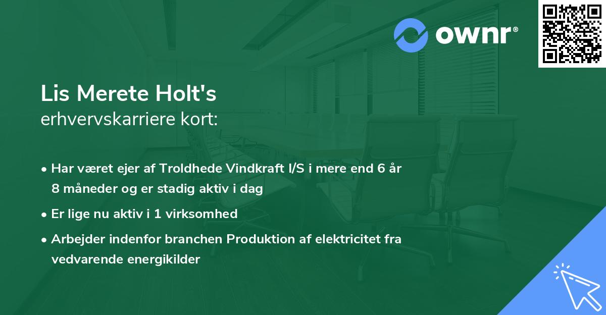 Lis Merete Holt's erhvervskarriere kort
