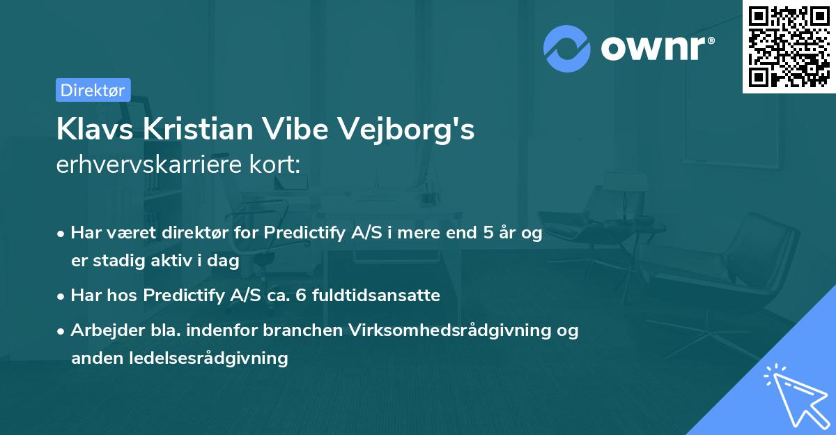 Klavs Kristian Vibe Vejborg's erhvervskarriere kort