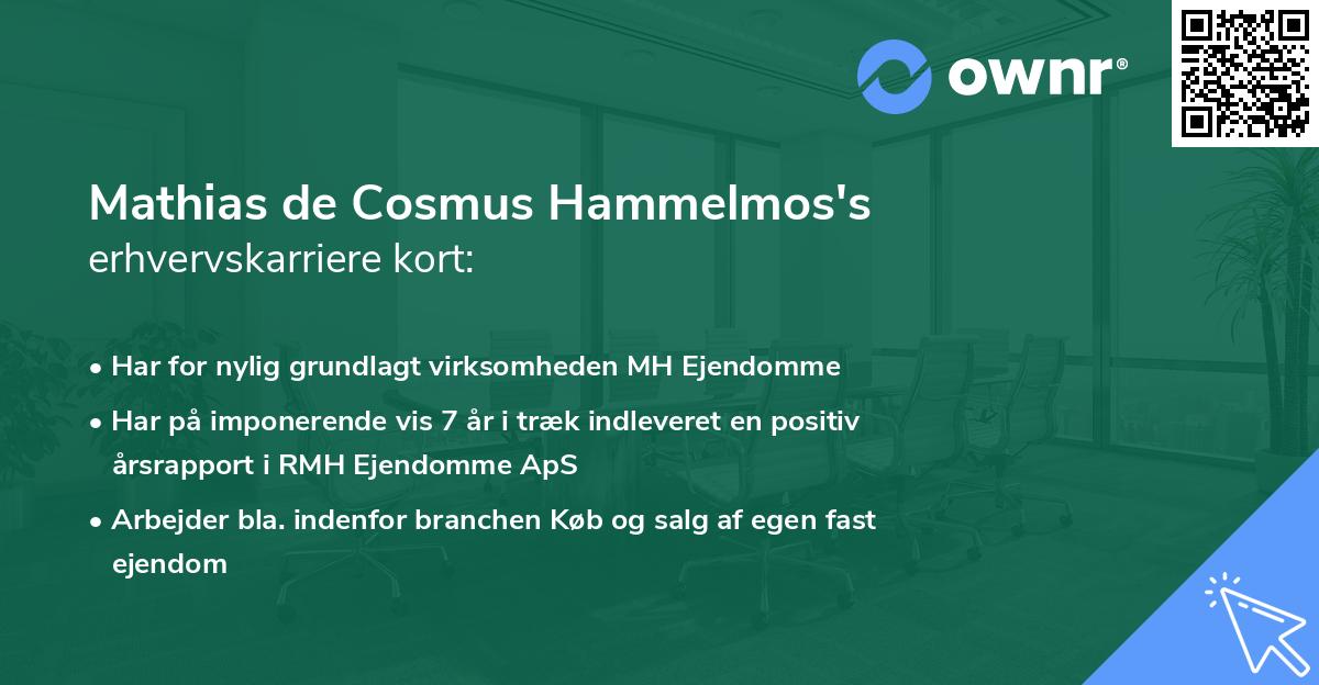 Mathias de Cosmus Hammelmos's erhvervskarriere kort