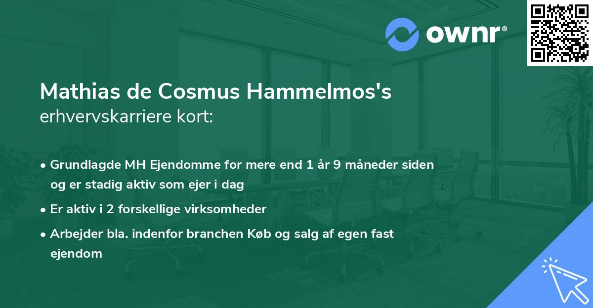 Mathias de Cosmus Hammelmos's erhvervskarriere kort