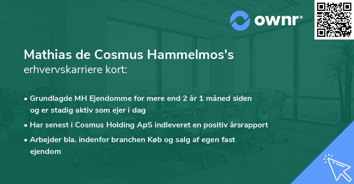 Mathias de Cosmus Hammelmos's erhvervskarriere kort