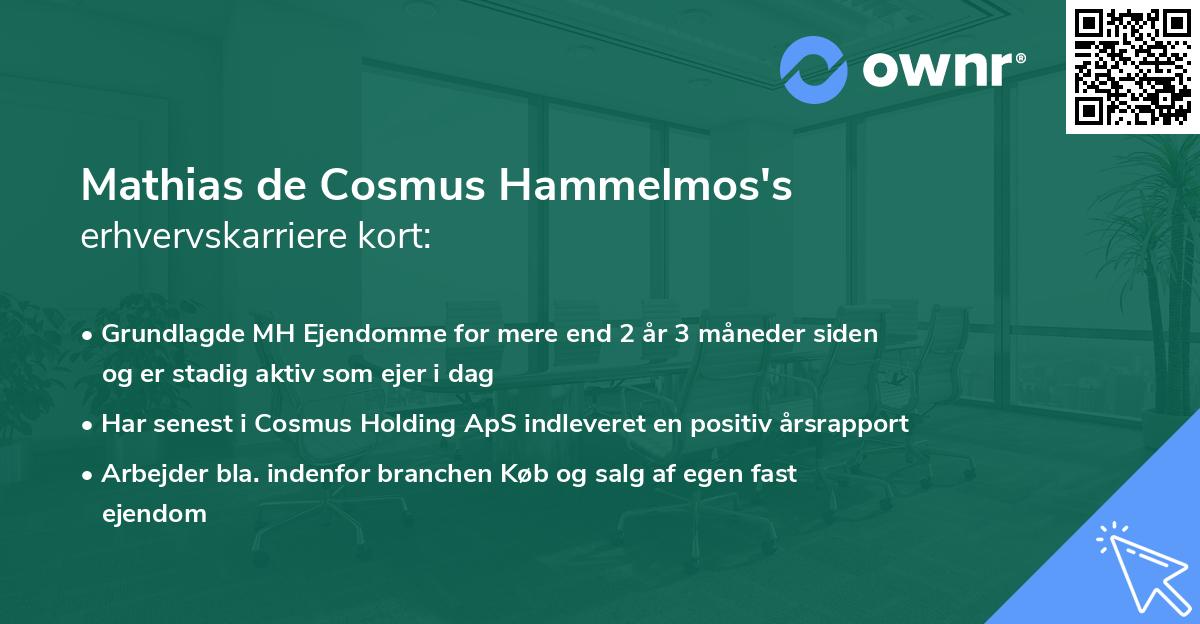 Mathias de Cosmus Hammelmos's erhvervskarriere kort
