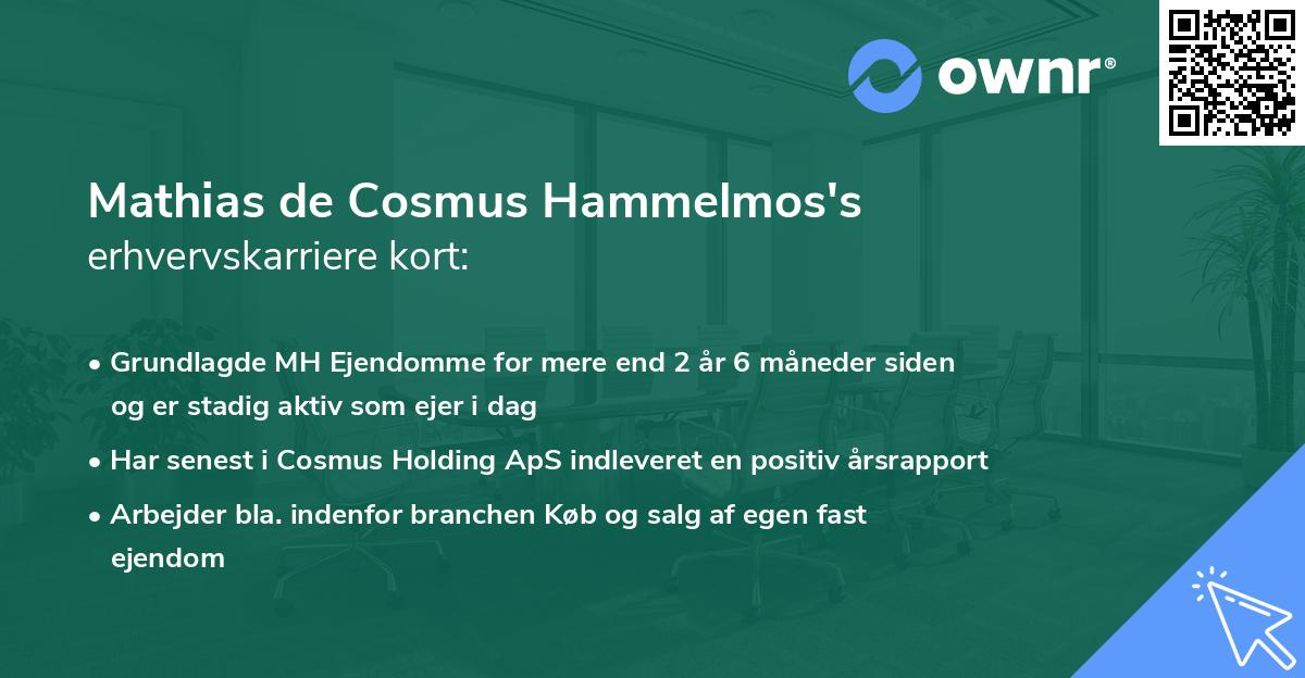 Mathias de Cosmus Hammelmos's erhvervskarriere kort