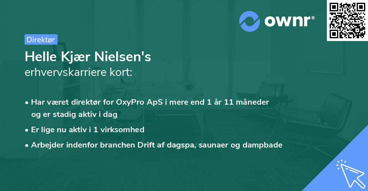 Helle Kjær Nielsen's erhvervskarriere kort