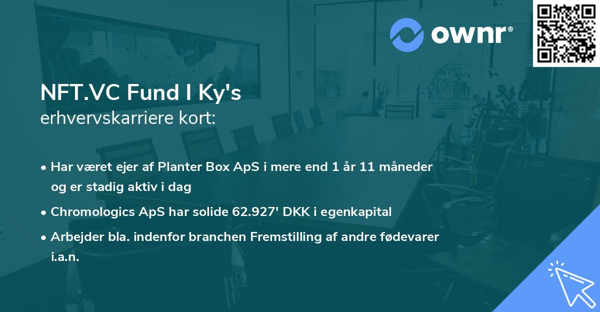 NFT.VC Fund I Ky's erhvervskarriere kort