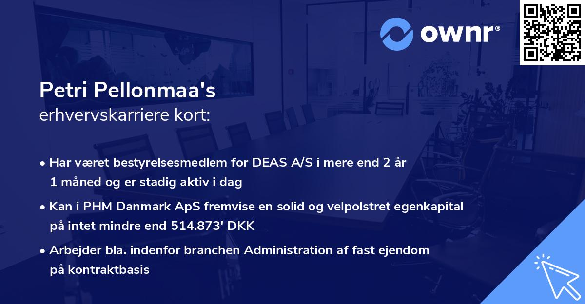 Petri Pellonmaa's erhvervskarriere kort
